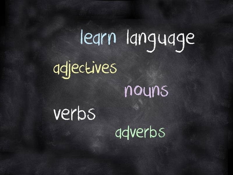 Language Courses